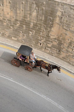 在馬耳他與馬的馬車