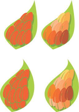 葉豆