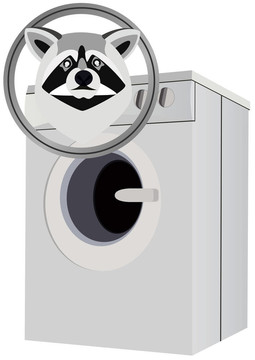 Raccoon和洗衣機(jī)