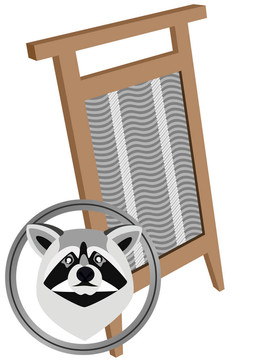 浣熊和板的清洗
