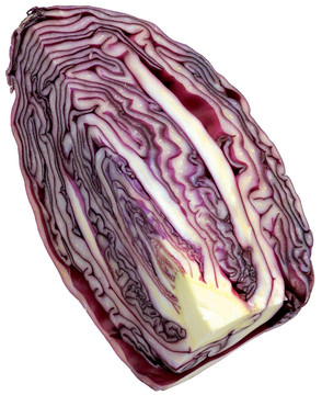 甘藍(lán)