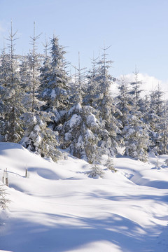 山上的雪