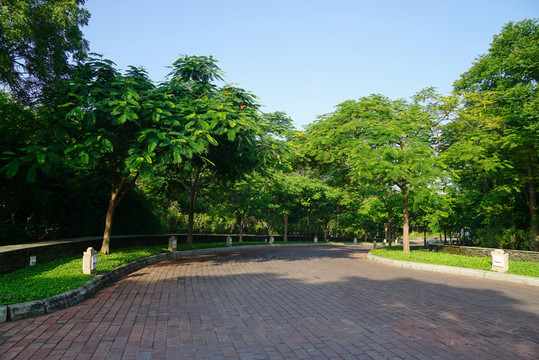 園林景觀