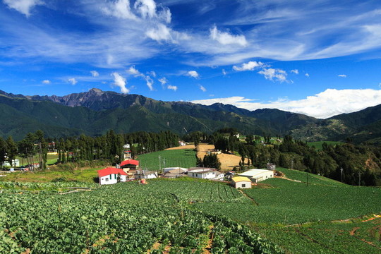 山中農(nóng)場