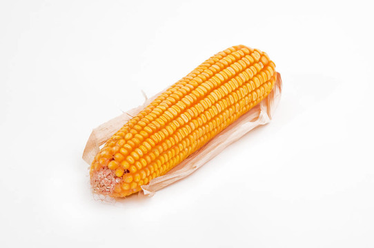 玉米穗