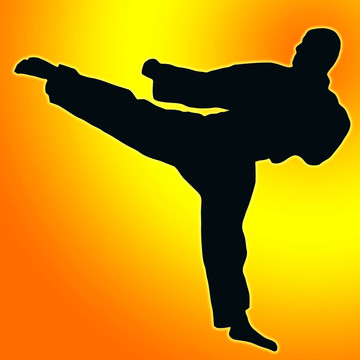 金橙背運(yùn)動剪影- Karate Kick