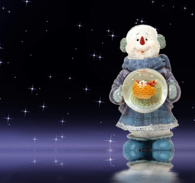 圣誕卡片；夜晚可愛的雪人