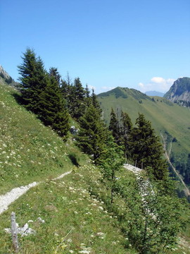 瑞士阿爾卑斯山