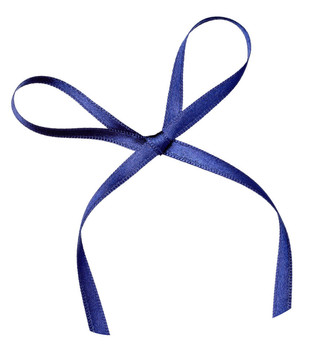 絲帶結(jié)生日禮物圣誕假期
