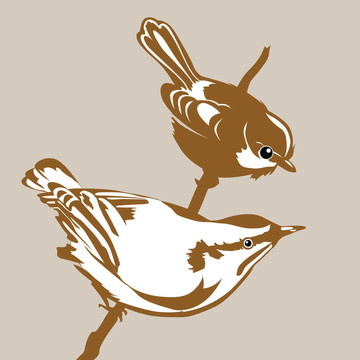 褐色背景上的鳥(niǎo)類剪影；插圖