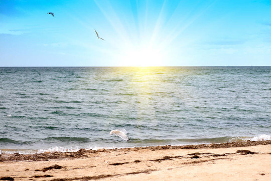 熱帶海灘和清澈湛藍(lán)的海水