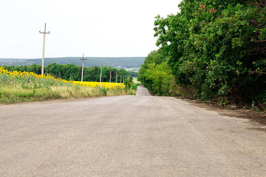 向日葵田附近的道路