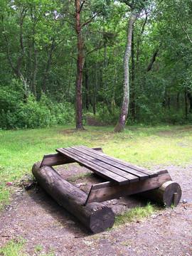 torekov woods 14