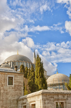 Suleiman Mosque 18