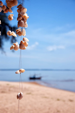貝殼海灘