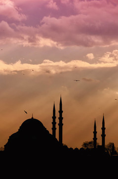 Suleiman Mosque 03