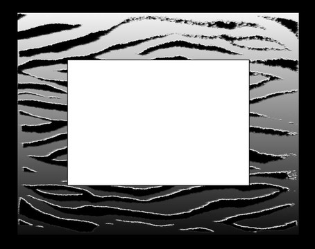 斑馬架/邊界