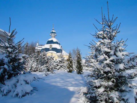 冬天的雪景與毛皮樹和教堂