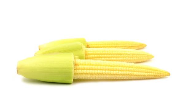 小玉米分離