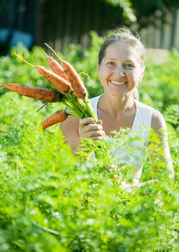 成熟的女人選擇carrot