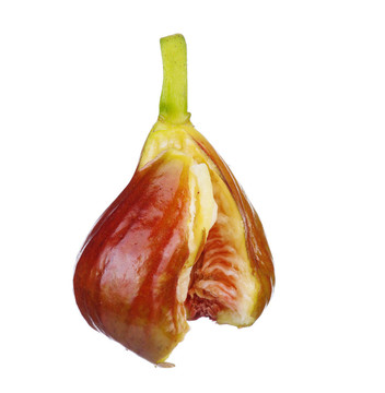 新鮮無花果