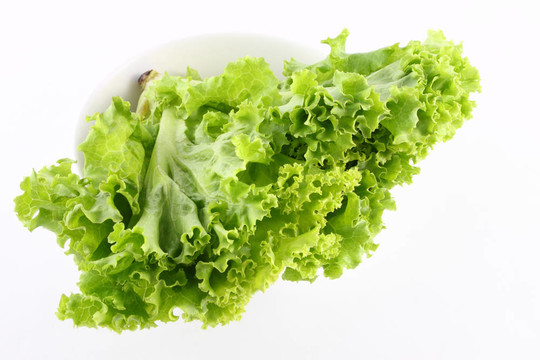 白桌上的圓形生菜。