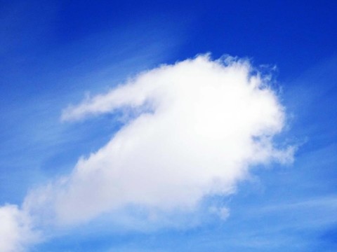 春天的天空