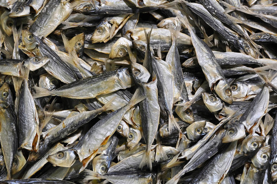小干魚