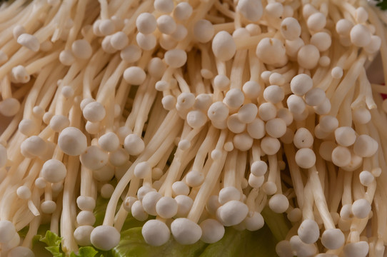 金針菇