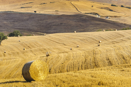 Val d Orcia（托斯卡納）景觀