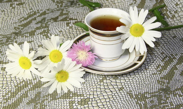 一杯茶camomiles