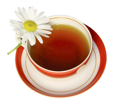 一個(gè)紅色的杯茶與甘菊