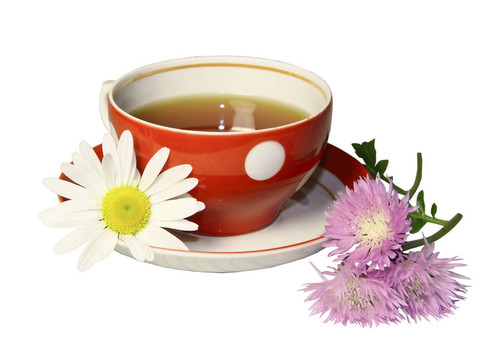 一個(gè)紅色的杯茶與甘菊