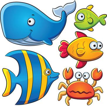海水魚收藏