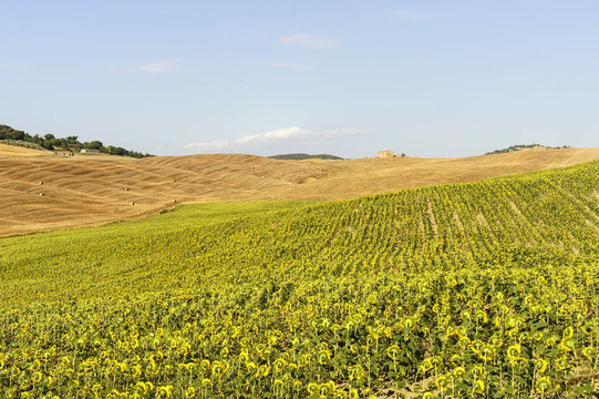 Val d Orcia（托斯卡納）景觀