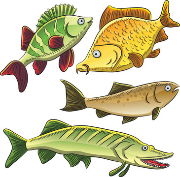 集魚