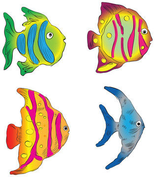 魚缸里的魚