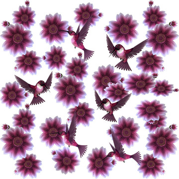 蜂鳥