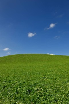 鵝肝和藍天場
