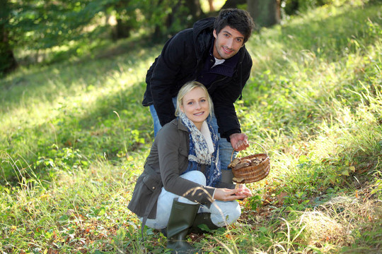 夫妇在森林里收集蘑菇