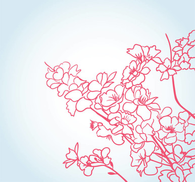 背景與櫻花花
