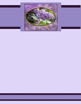 丁香花飛