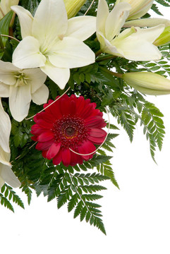 花的細(xì)節(jié)