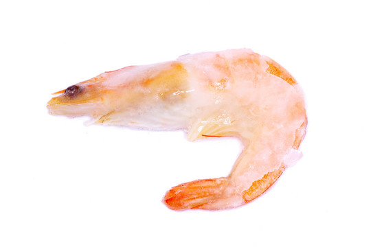 蝦