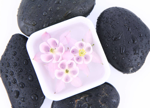 石頭和花