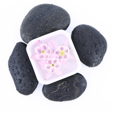 石頭和花