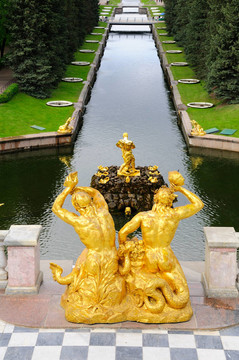在Petergof公園的噴泉。參孫噴泉