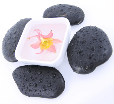 石頭和花