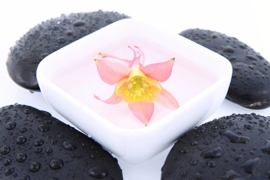 石頭和花