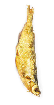 白色煙熏魚